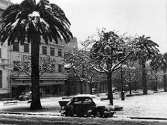 SIDI BEL ABBES 1954 SOUS LA NEIGE  (6)
